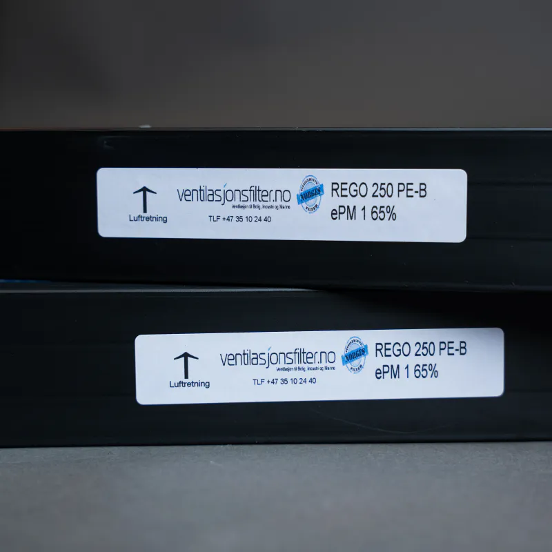 Rego 250-PE-B filtersett